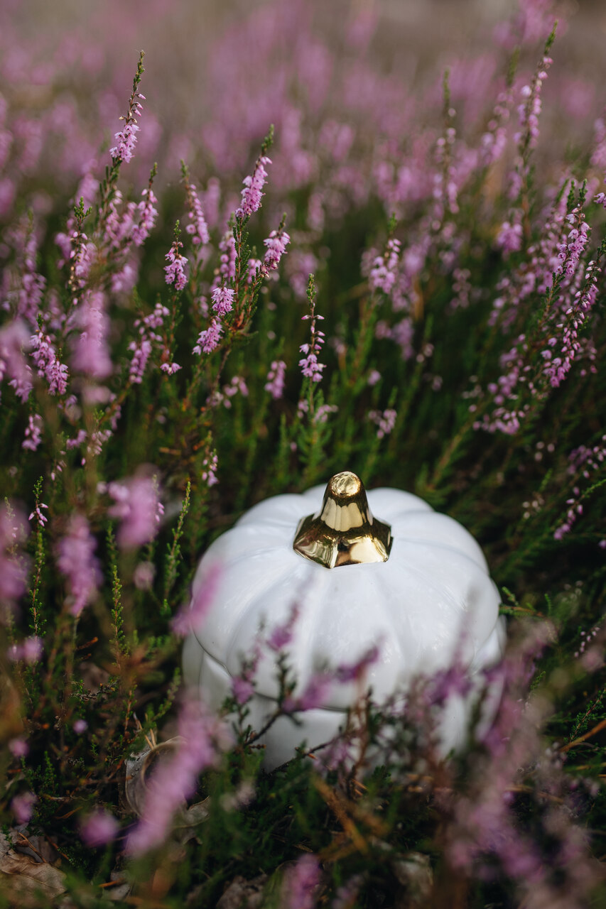 Świeca Sojowa Dynia - obrazek 3